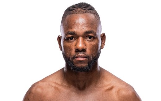 ファイトメモリー | Fight Memory tweet media