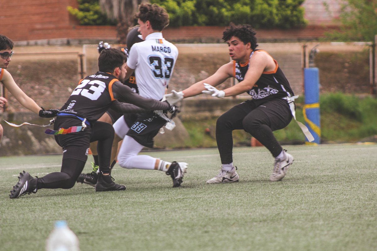 Vva Black Storks tweet media