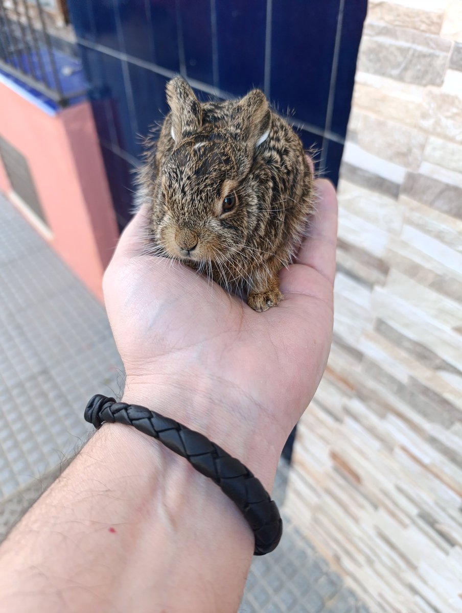 GualterMatao🔻🇵🇸 tweet media