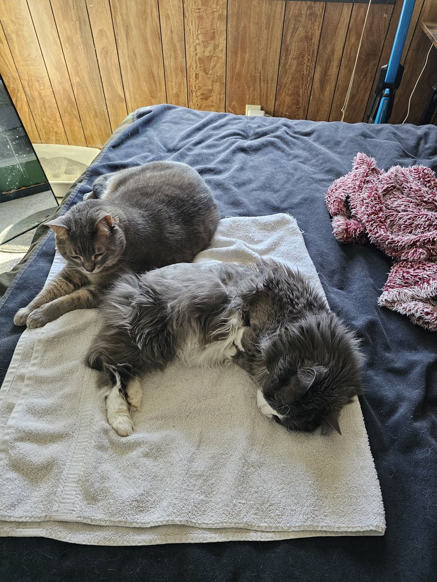 skylar ™️ tweet media