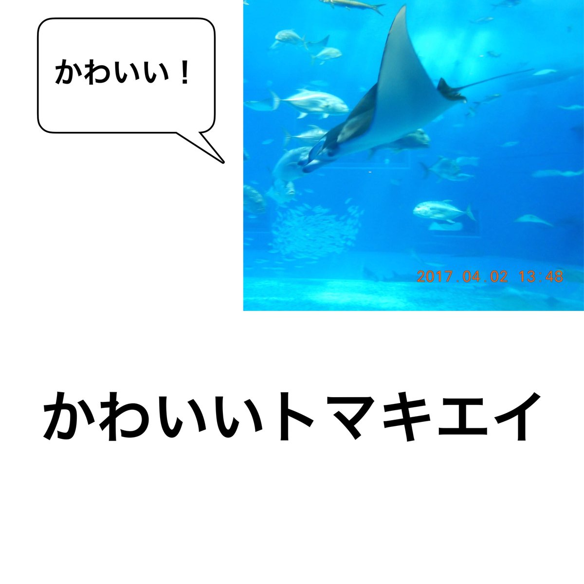 トナキコ2 tweet media