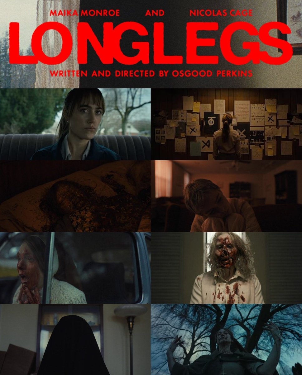 𝙍𝙄𝘾𝘼𝙍𝘿𝙊 tweet media