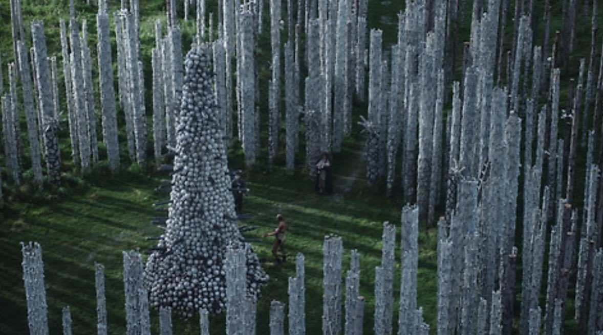 leon🦈 tweet media