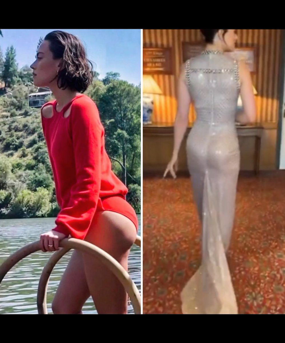 sunshine supremacy tweet media