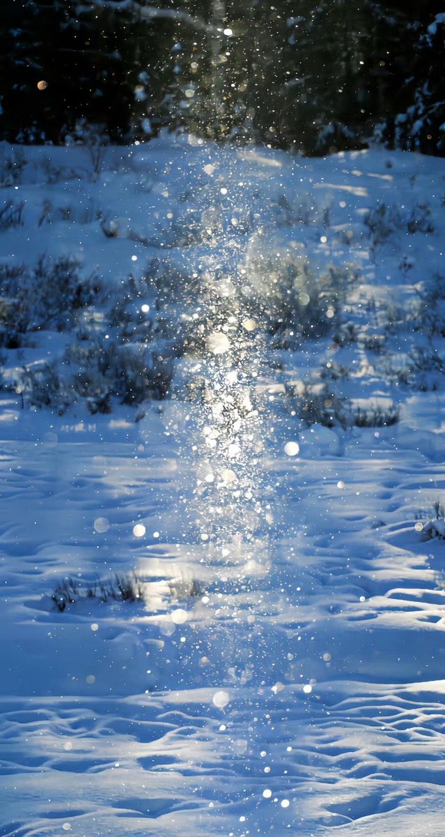 roshan shrivastav tweet media