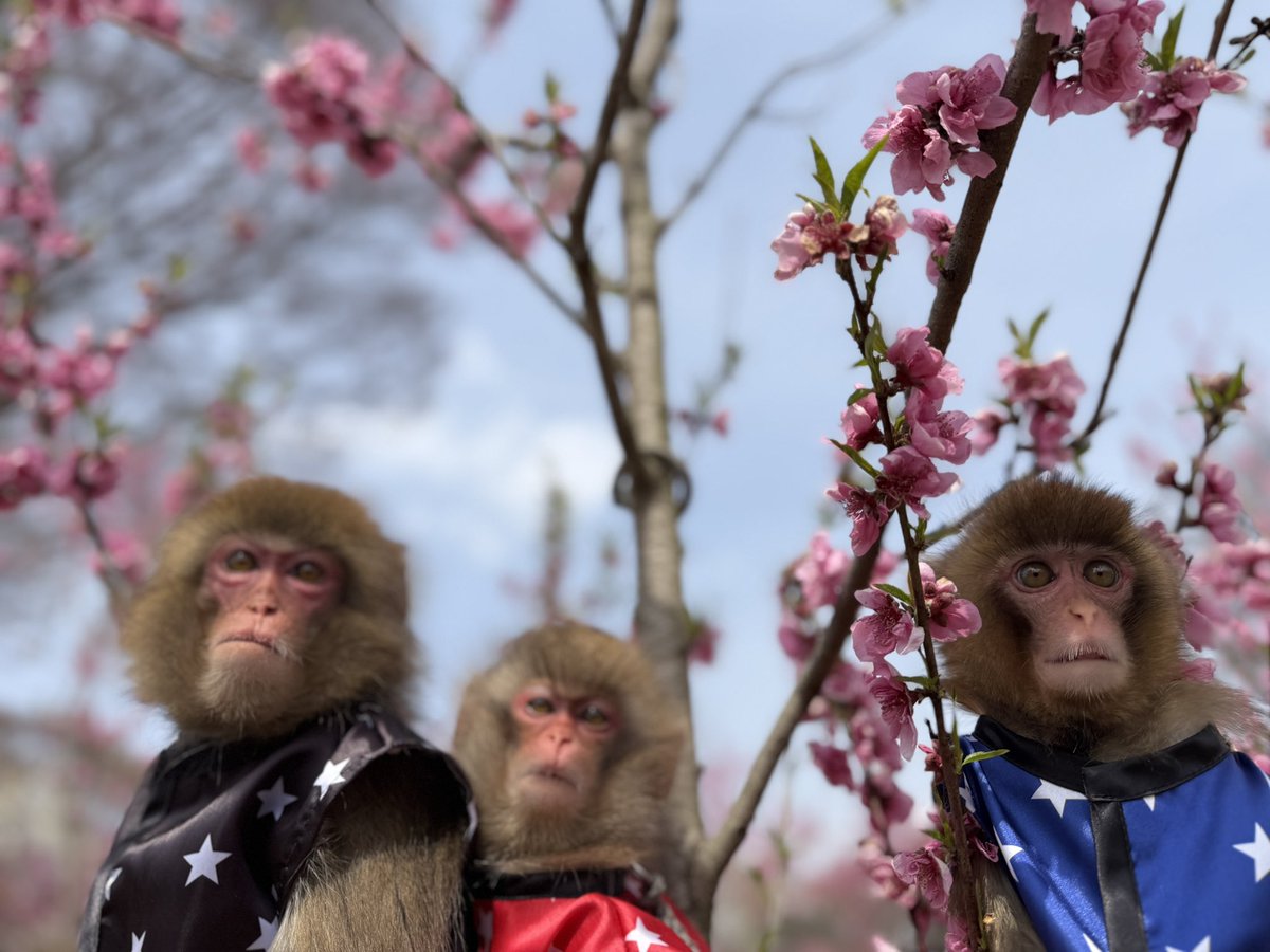 利美トレーナー tweet media