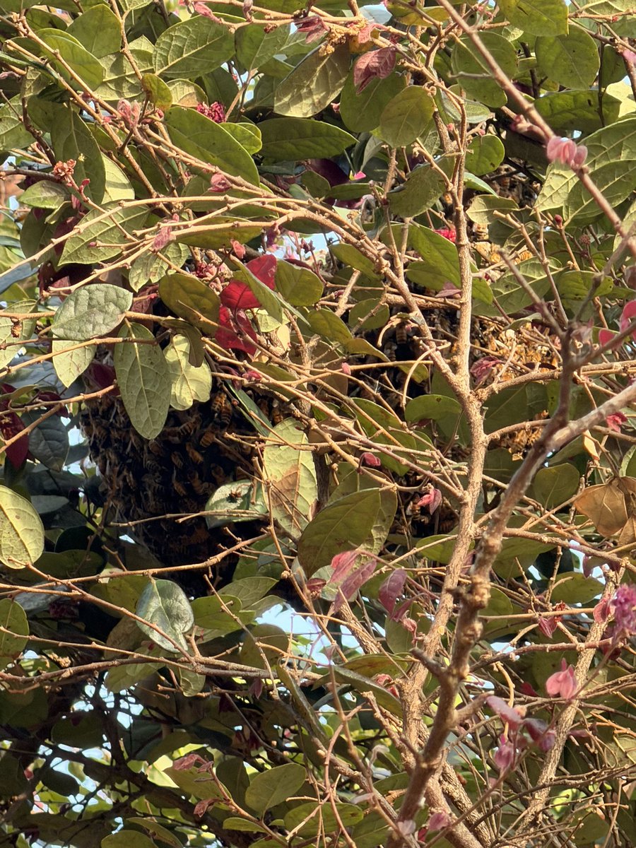 steph ⋆✴︎ ̊. tweet media