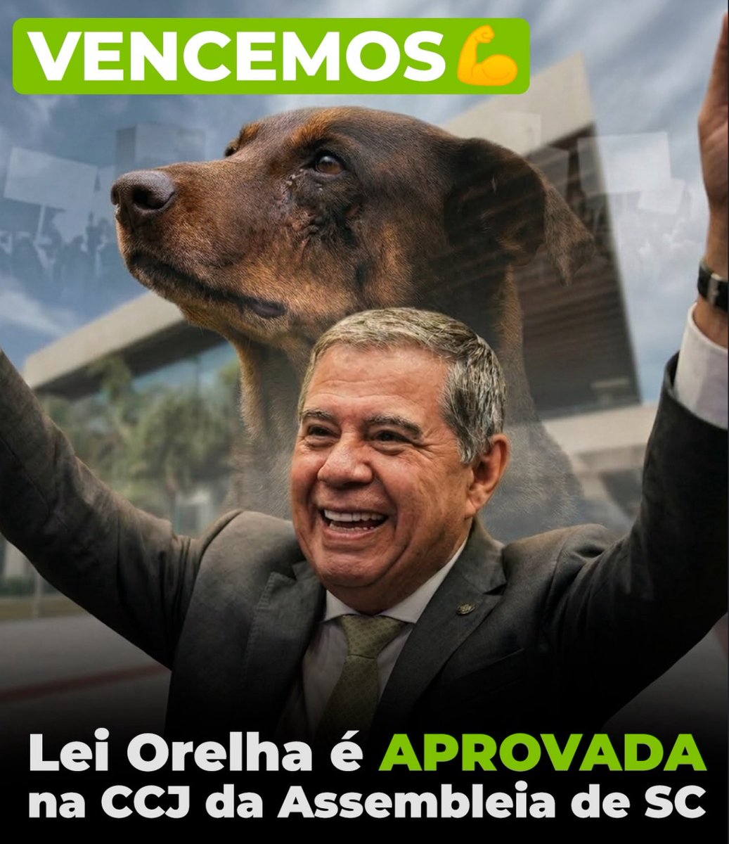 kaarolzx tweet media