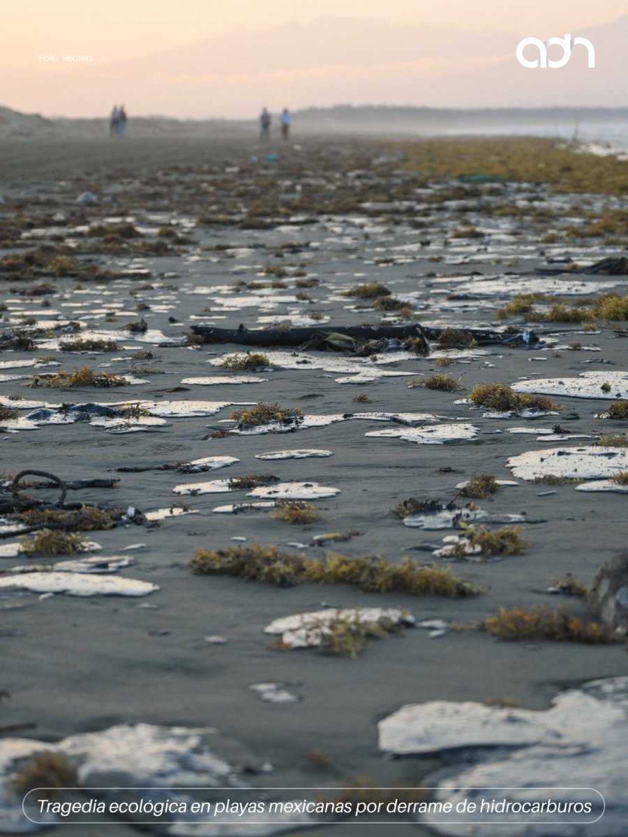 adnnoticiasmx's tweet photo. Aunque @Pemex asegura que la situación está controlada, en campo la realidad es distinta: playas contaminadas, afectación a arrecifes y comunidades costeras que ya resienten el impacto en su economía 🐟💸 https://t.co/GYiDRpLttj