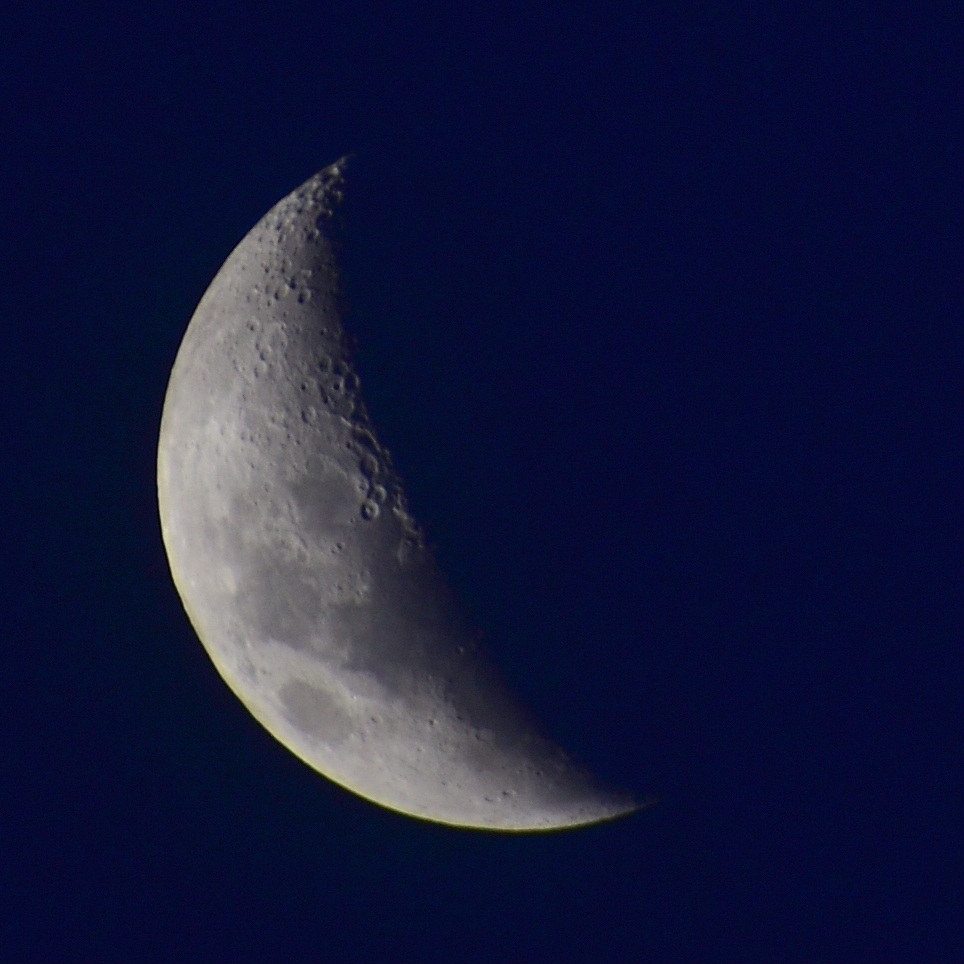 Marwella Zhang 🚀🎨 📸 🏎 tweet media