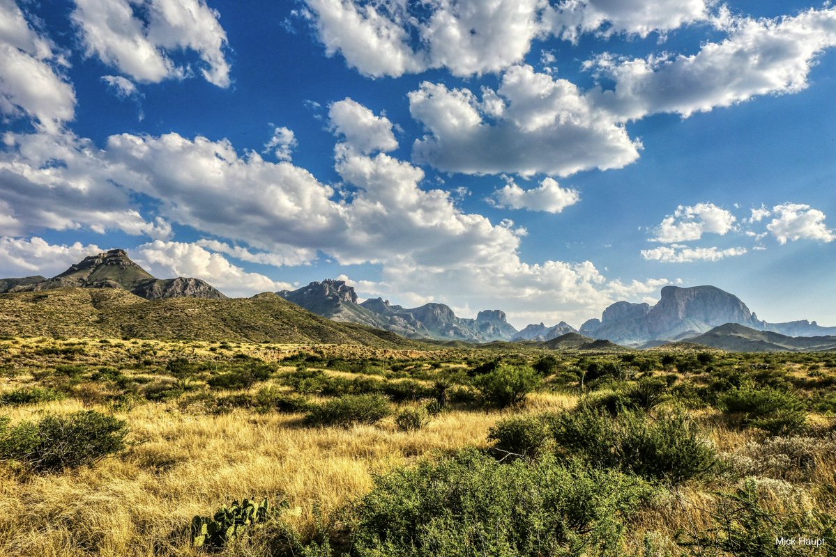 Nature Is Nonpartisan tweet media