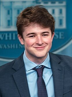 DINO 🦖 tweet media