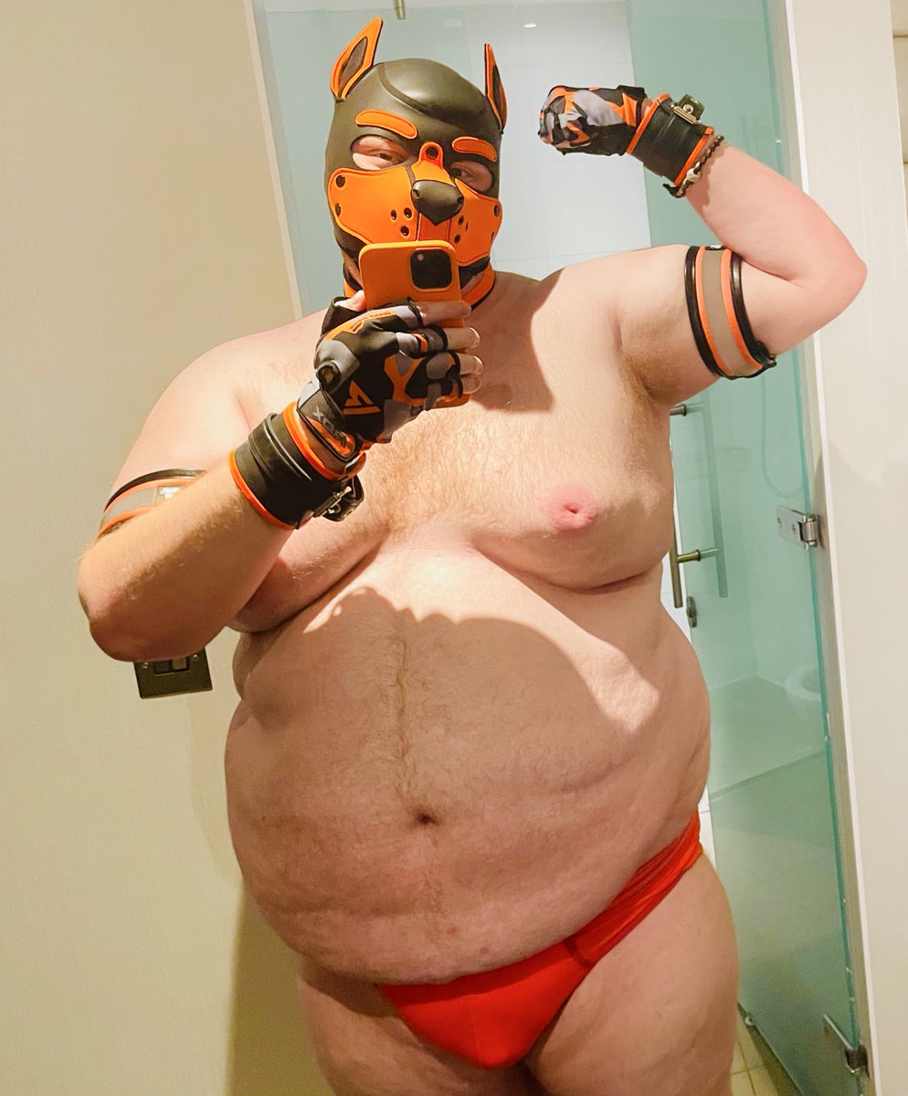 Big Dog Drake 🔜👀 tweet media