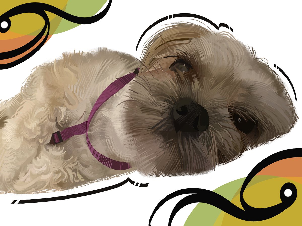 ★Nate D Hernandez★ tweet media