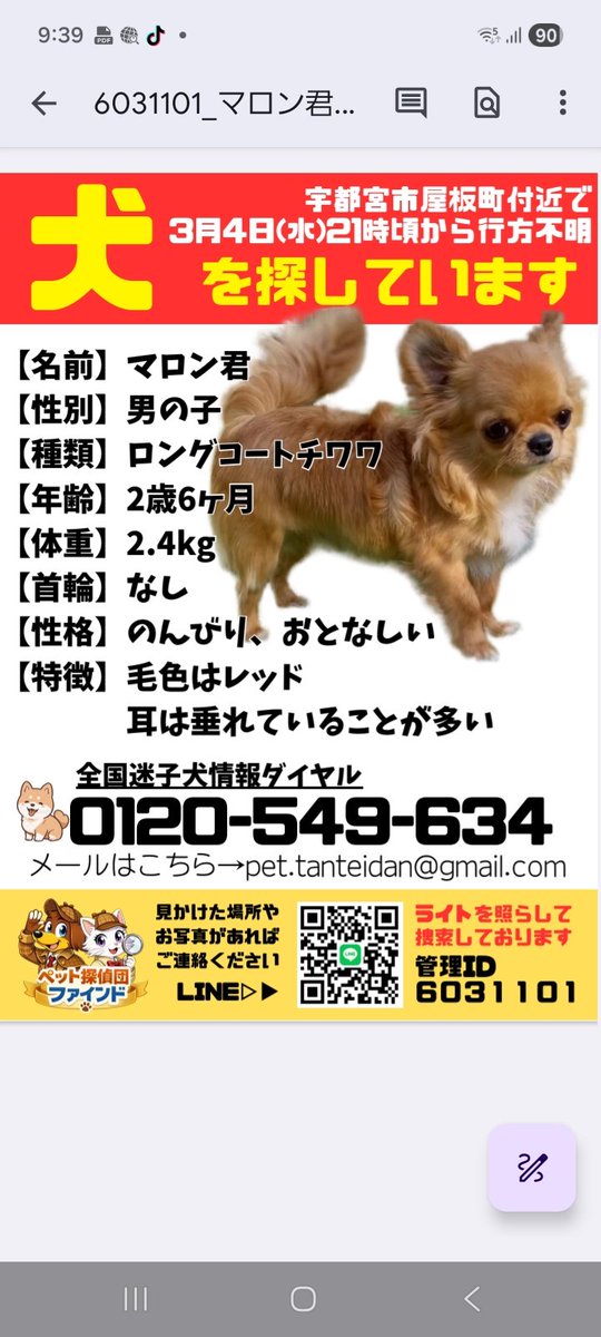 G5052717207's tweet photo. マロンがいなくなってから3週間が経ってしまいました。

拡散してくださった方、そして捜索にご協力いただいた皆さま、本当にありがとうございます。
時間が経つほど、目撃情報は減ってしまいます。

引き続き、情報提供・拡散のご協力をよろしくお願いいたします。 https://t.co/Pbd9kiZ5Dr