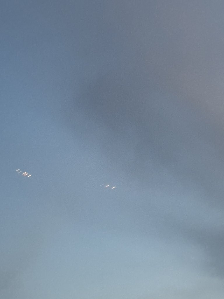 Arya Yadeghaar tweet media