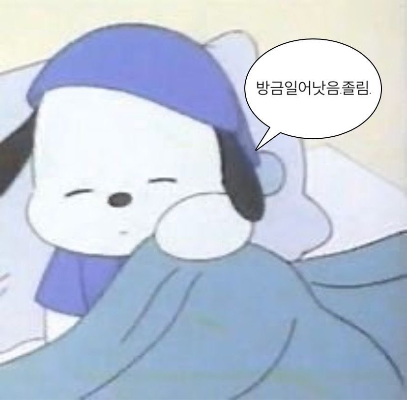 체리슈🍒 tweet media