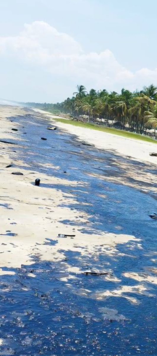 MarkOnce tweet media