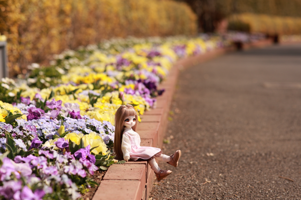 nabetomo tweet media