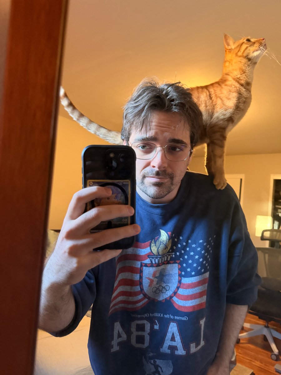 Tommy Stella tweet media