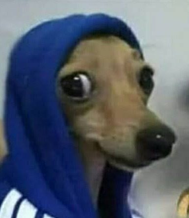 Portal Vôlei Brasil 🏐🇧🇷 tweet media