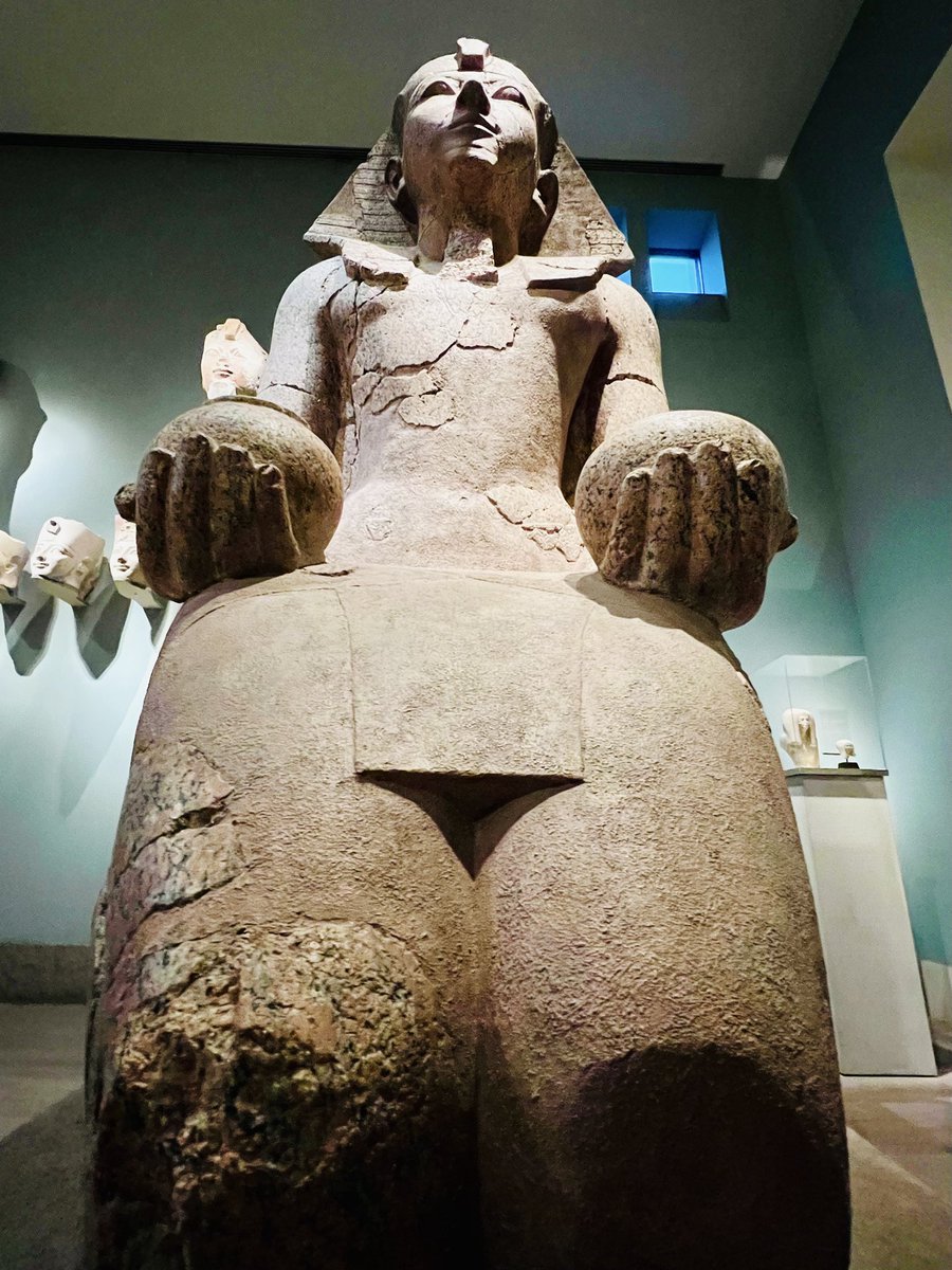 Donec Gratus tweet media