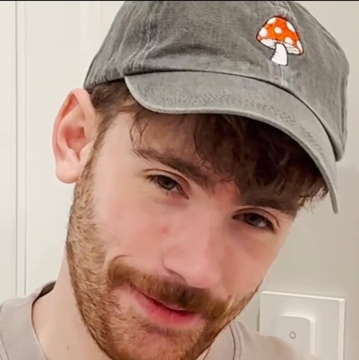 purr! 🎀🌷 tweet media