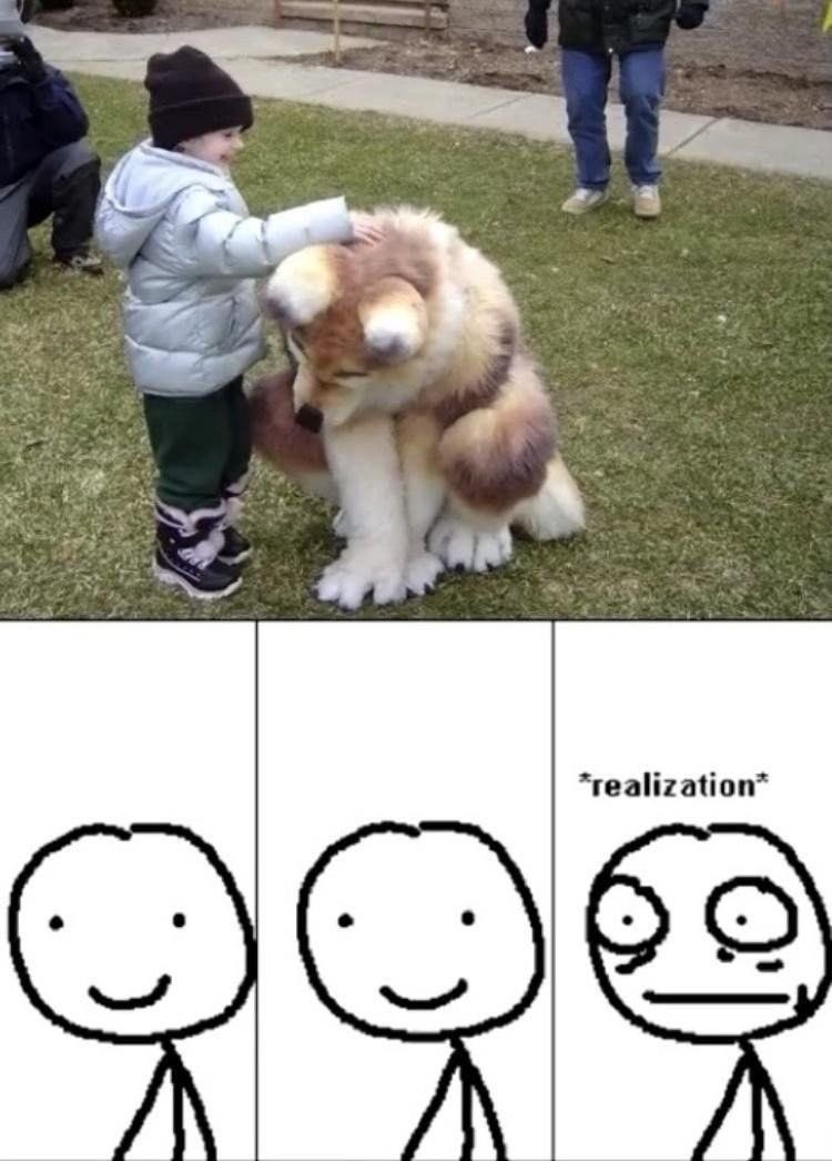 ¡Franchis ˊ˗ 🌙 tweet media