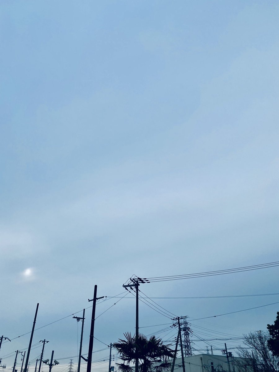 エディ tweet media