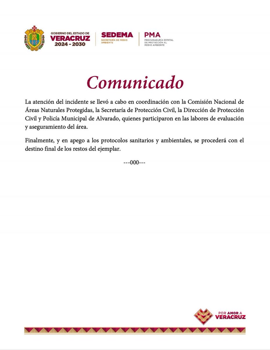 Veracruz En Alerta tweet media