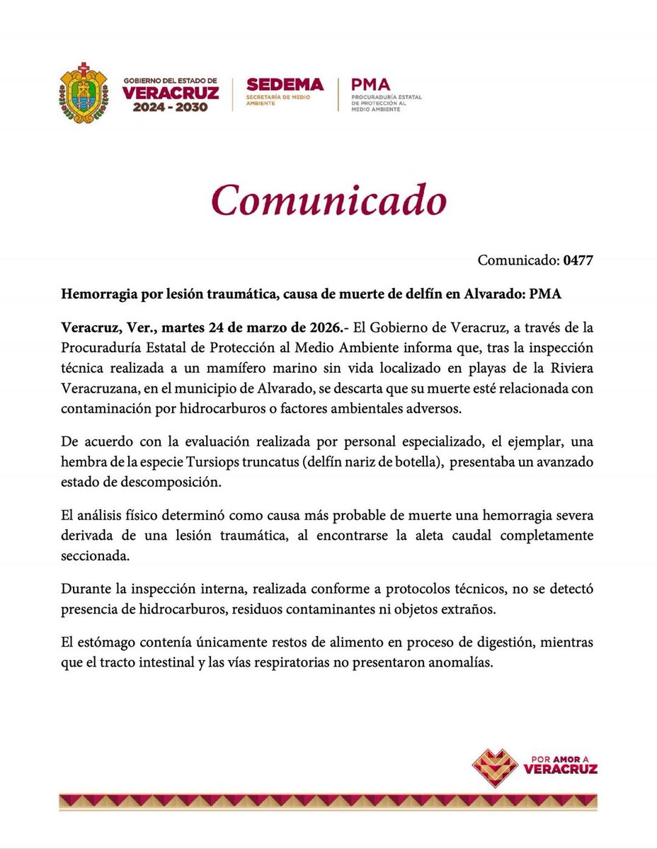 Veracruz En Alerta tweet media