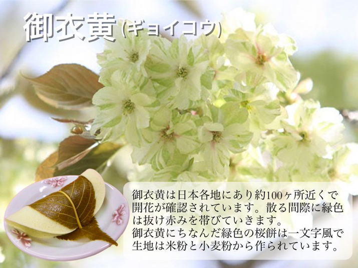 3月27日(金)
今日は、さくらの日。

『御衣黄』と呼ばれる桜はなんと緑色。
その御衣黄をモチーフにした桜餅ももちろん緑色。
緑色の桜餅は島根県三刀屋町の『しっぽもひと役本舗 天満屋』さんが元祖と言われています。
ちなみに包んでいる桜の葉は御衣黄かというと嗚呼…文字数