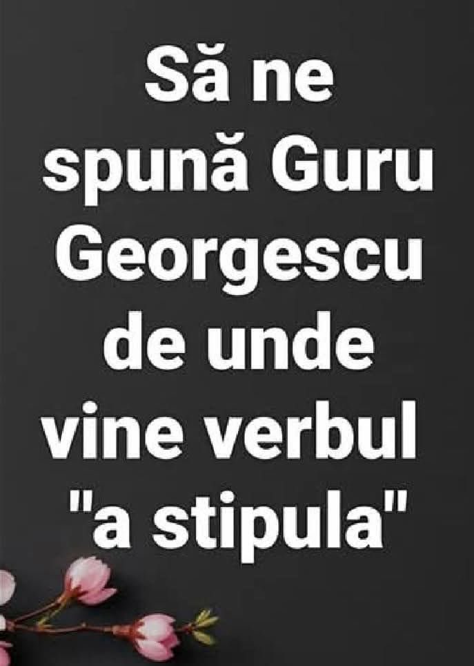 iepurele mizantrop tweet media