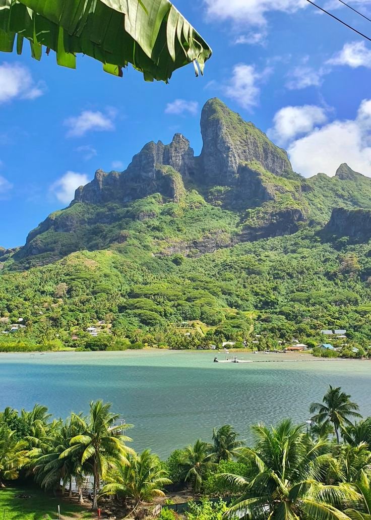 𝒆𝒍𝒚𝒓𝒂 tweet media