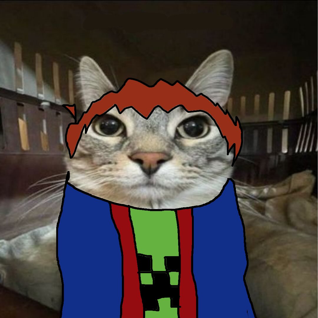 RAVENYER 🪸🪼 tweet media