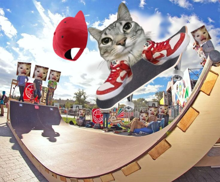 金玉洗えw tweet media