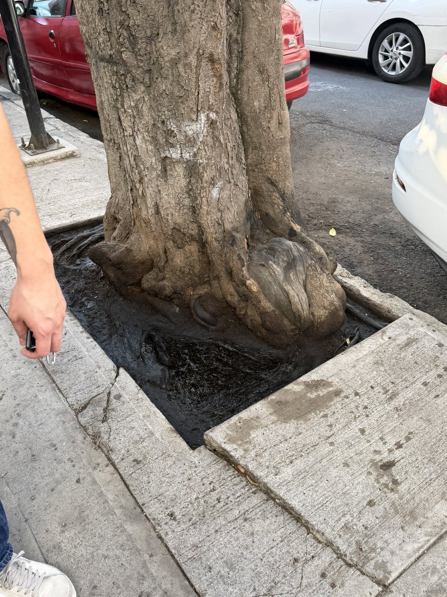 🅿️🅰️🅾️ tweet media