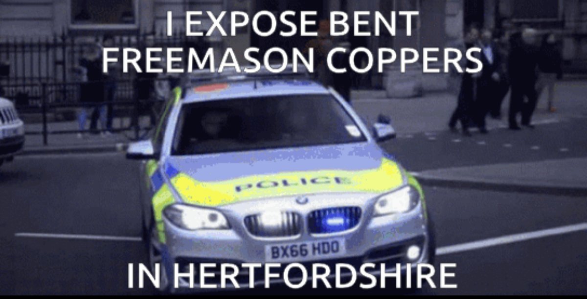 © Haley tweet media