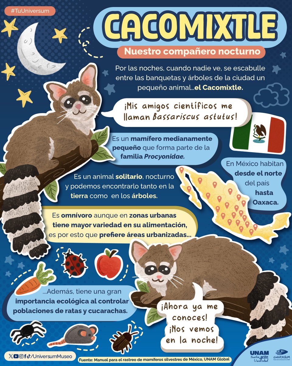 Universum Museo tweet media