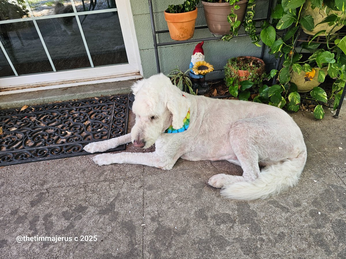 Tim Majerus tweet media