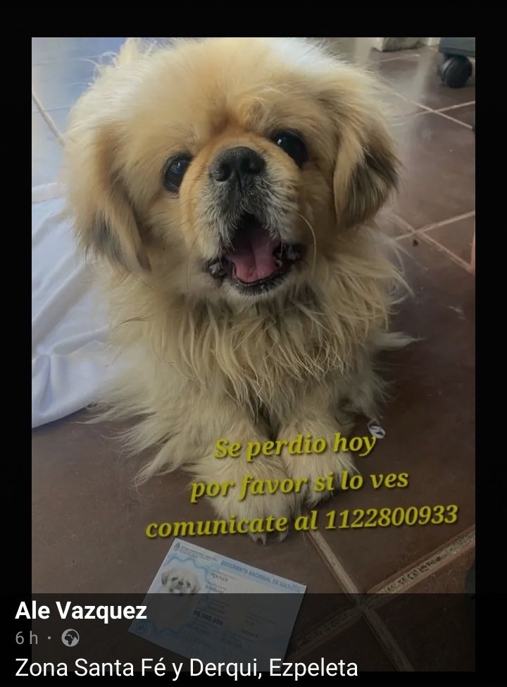 Jimena Torres ⭐️⭐️⭐️ tweet media