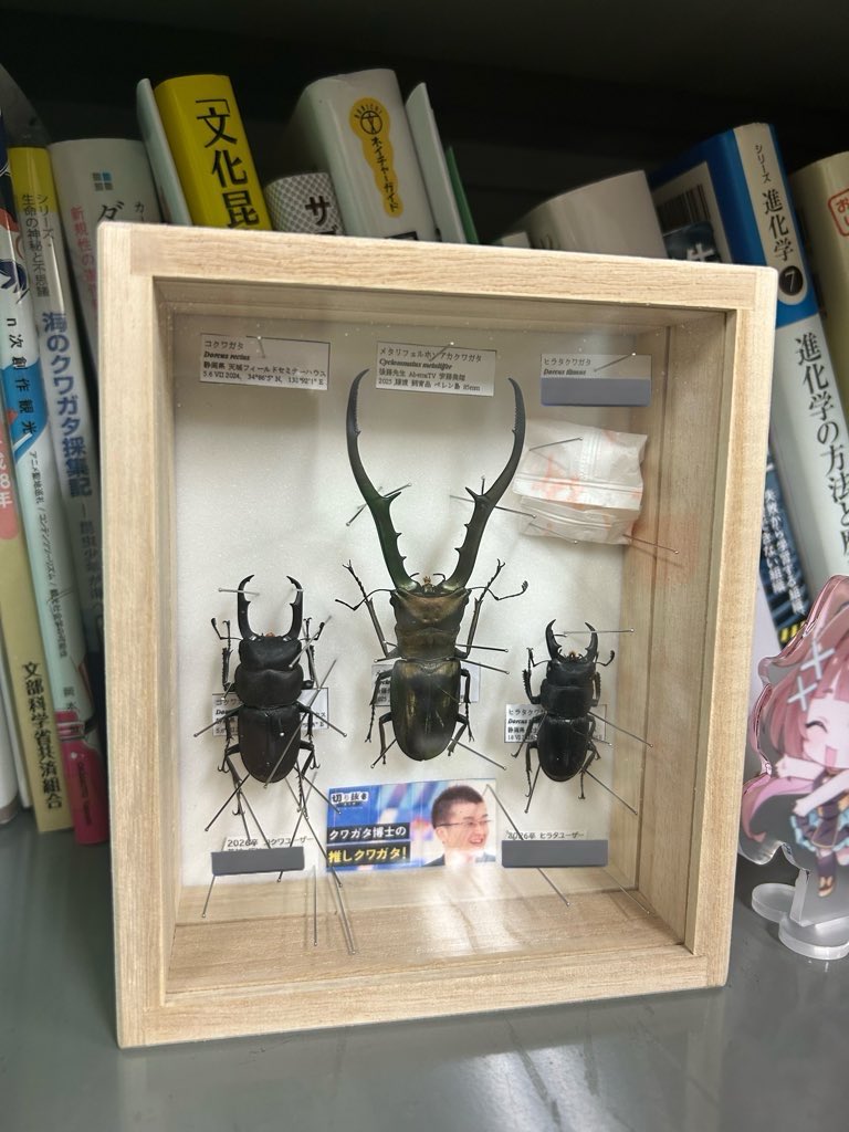 Hiroki Gotoh＠静大５年目 tweet media