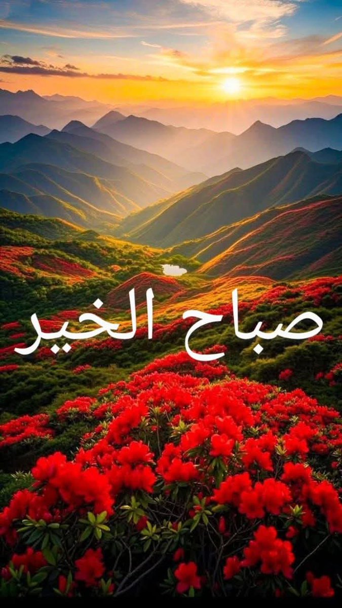 RReasmahmed's tweet photo. كدتُ من عينيه أسكر
فاتنٌ حلو ٌ .. وأسمر

لم أكُن من قبل أدري
أنّني باللطفِ أُسحر

كلّما غشّى صباحي
صار طعم الصبحِ سكّر

طِبتُم وطابَ صباحكم 

#اللّٰهم_السَّلام🇵🇸🌿✌️🕊️ https://t.co/XBncXqc4yl