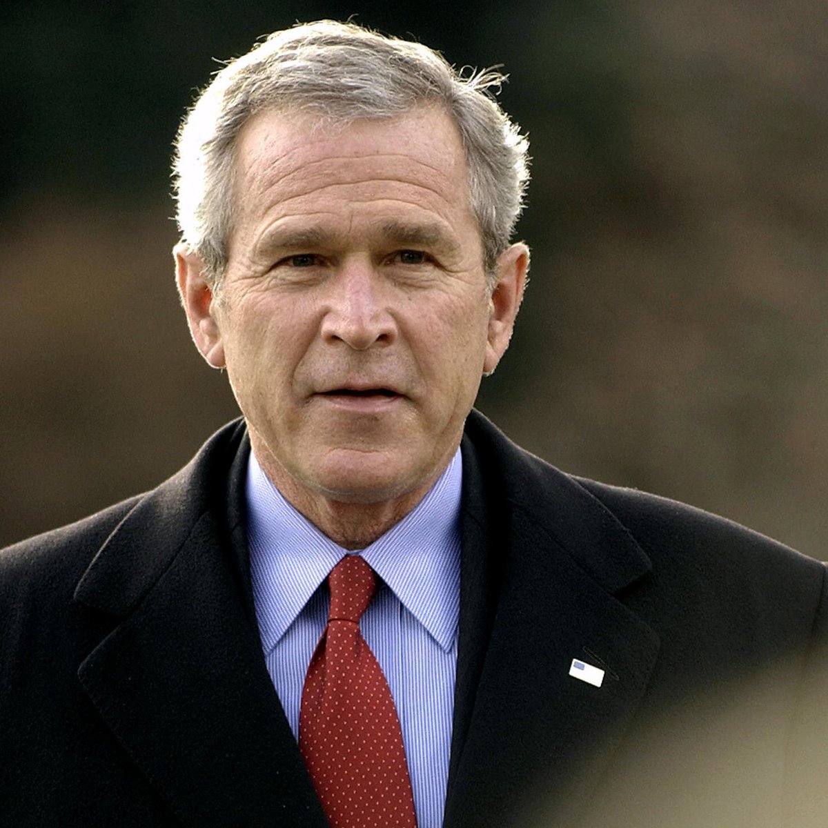 NewsWire tweet media