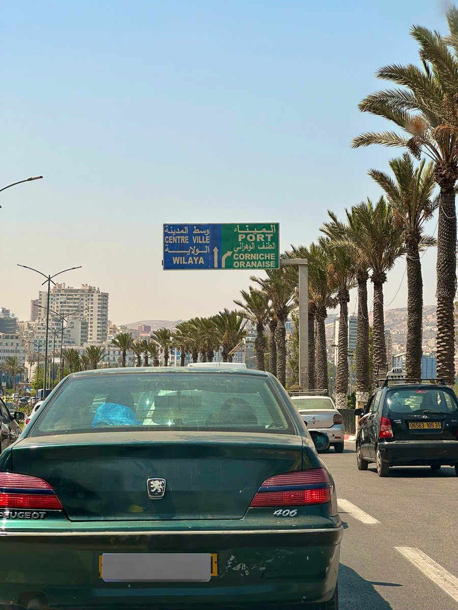 Galb 3ayan 🇩🇿🇵🇸 tweet media