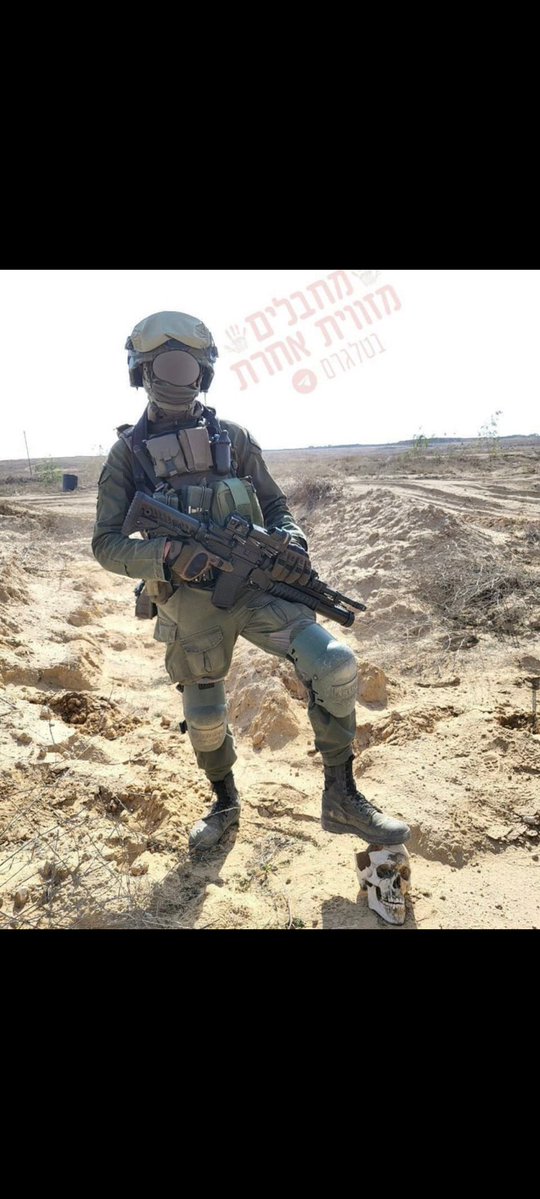 fefe🔥🇺🇸🔥 tweet media