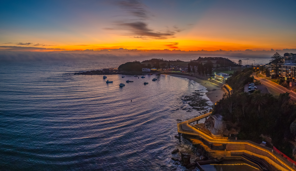 jayne white tweet media