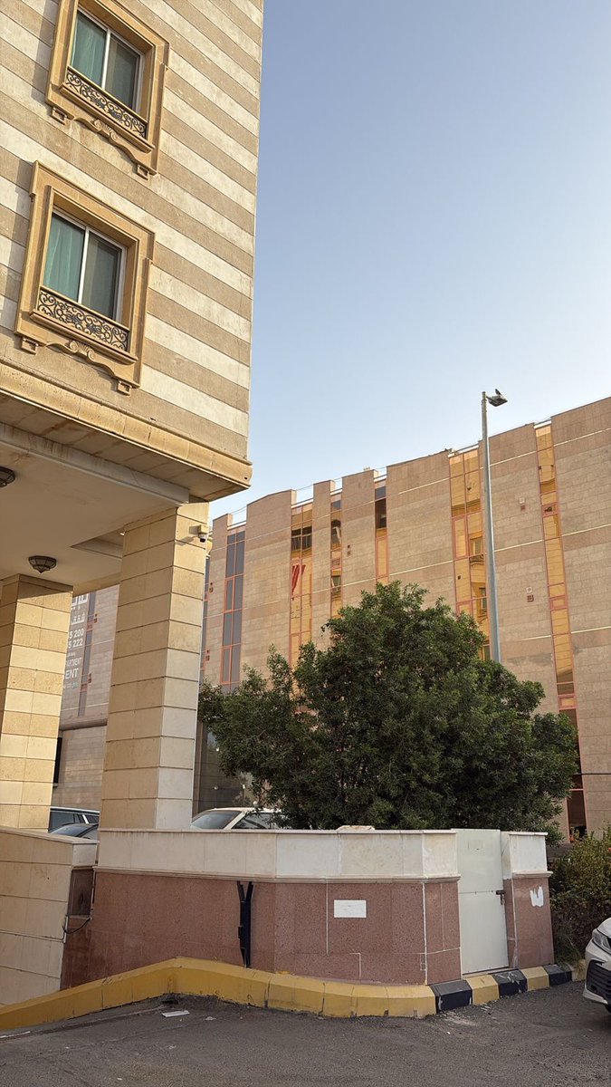 Refugio Kim tweet media