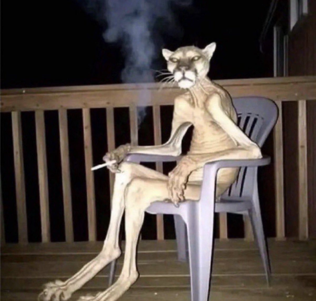 vic ꪆৎ ⋆.𐙚 ̊ tweet media