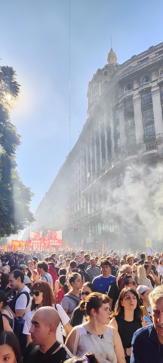 Paula C. Angelomé tweet media